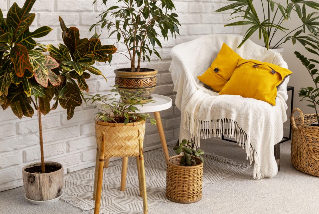decoração